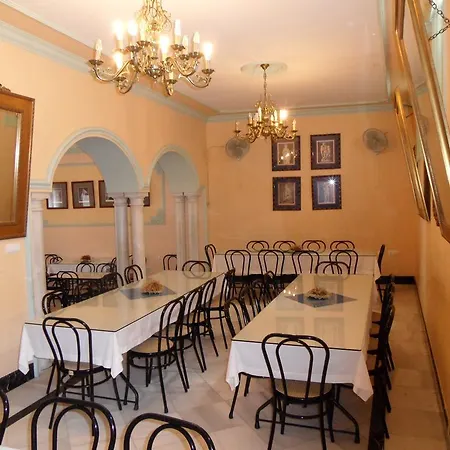 Maestre * Cordoba