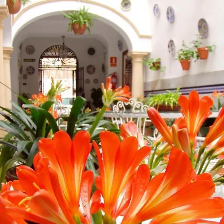 Pensión Maestre Córdoba