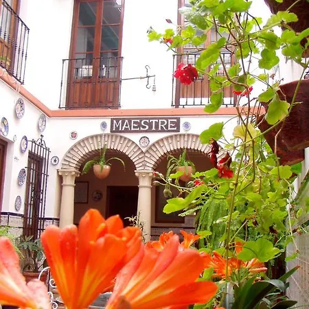 Maestre Pensión Córdoba