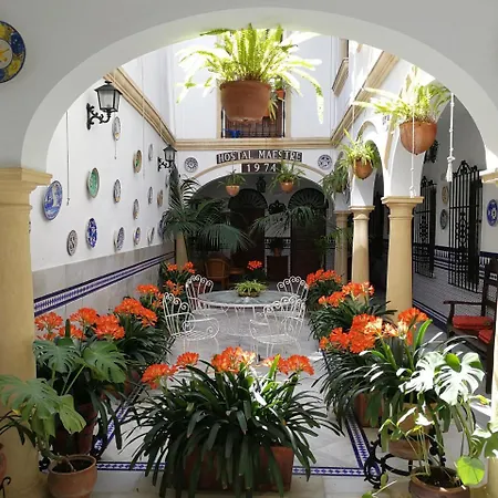 Guest house Maestre *