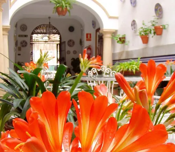 Penzion Maestre Córdoba